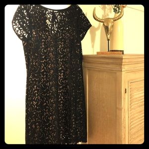 Sold! Loft Dress Black Lace and Nude